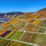 Ahr valley