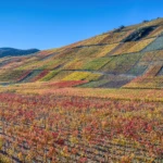 Ahr valley