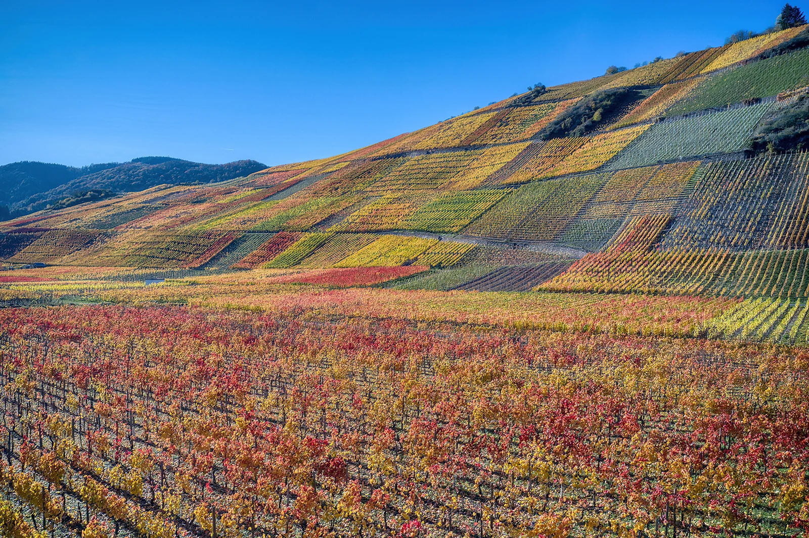 Ahr valley, Eiffel and rivers Ahr, Mosel – photo by Reiner Boehme