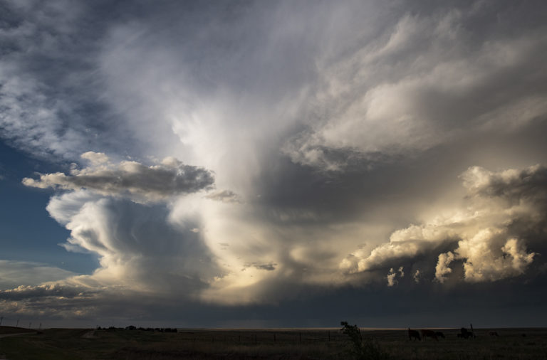 Beginning of a storm