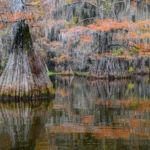 Benton Lake