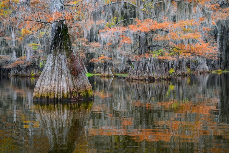 Benton Lake