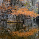 Benton Lake