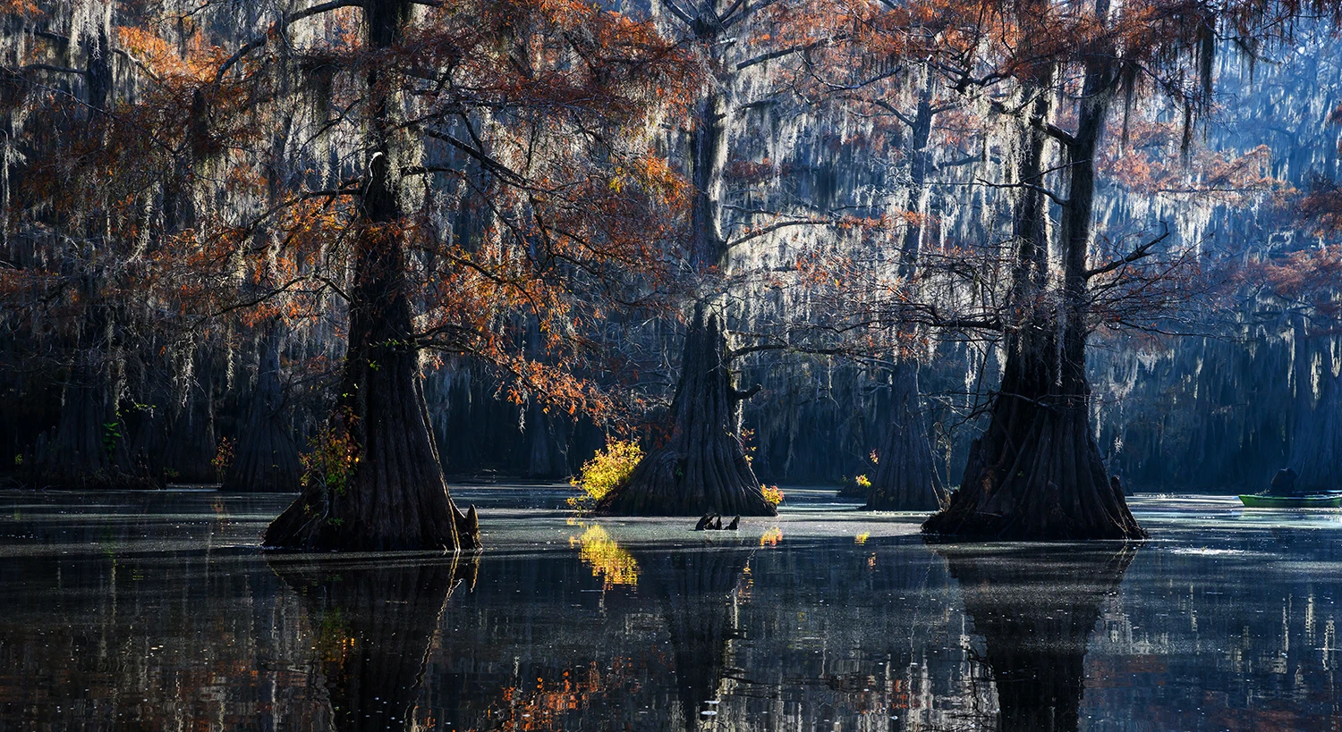 Early morning, Swamps of Louisiana/Texas – photo by Reiner Boehme