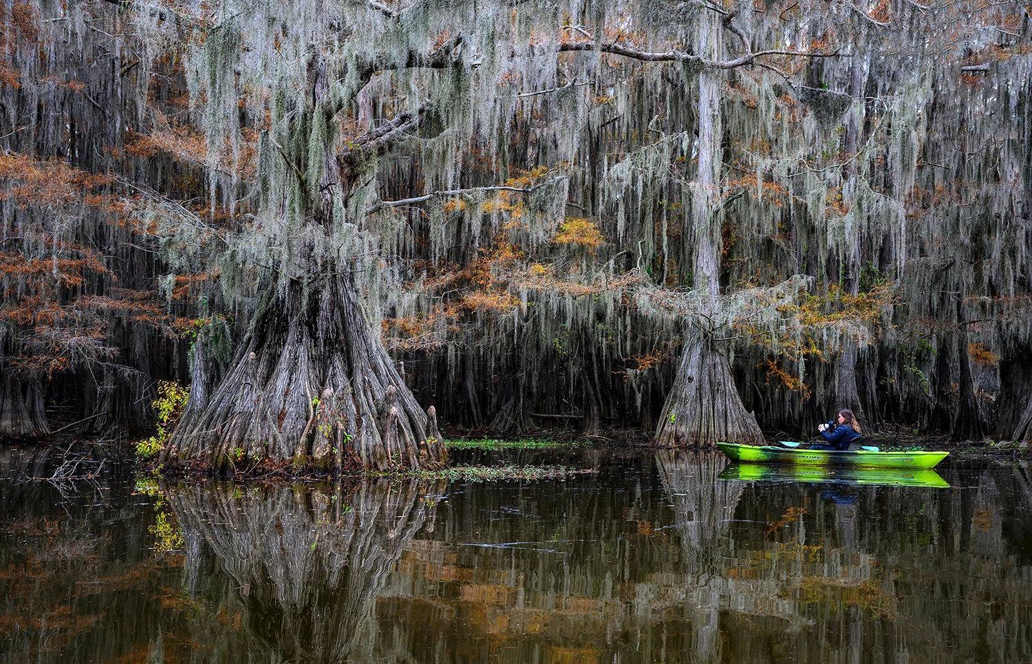 Photographer in action, Swamps of Louisiana/Texas – photo by Reiner Boehme
