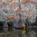 Benton Lake