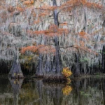 Benton Lake