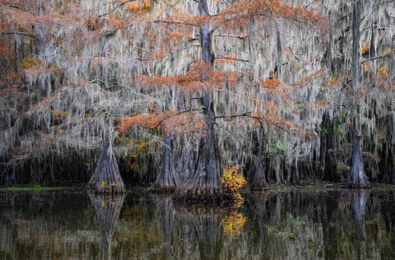 Benton Lake