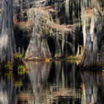 Benton Lake