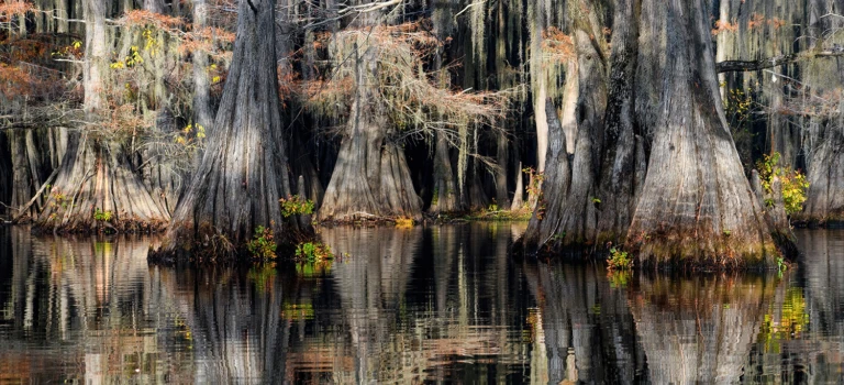 Benton Lake