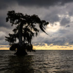 Lake Fausse Point