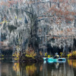 Lone kayak