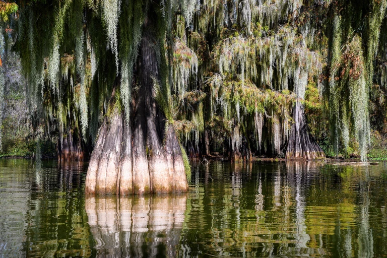 Lake Martin