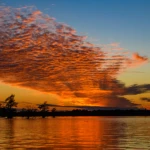 Sunset over the swamps