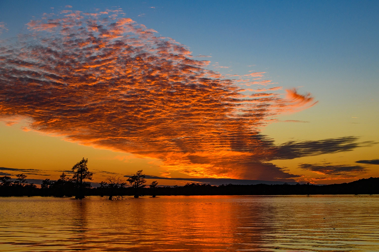Sunset over the swamps, Swamps of Louisiana/Texas – photo by Reiner Boehme