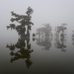 Fog