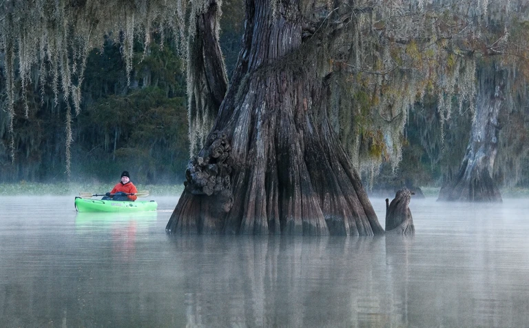 Misty morning