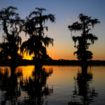 Evening in the swamps