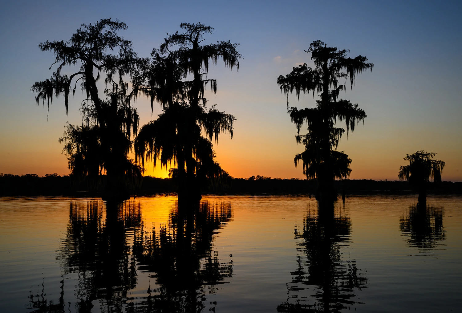 Evening in the swamps, Swamps of Louisiana/Texas – photo by Reiner Boehme