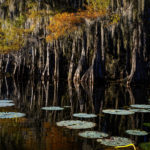 Sunset at Caddo Lake