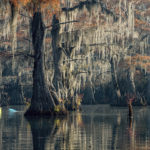 Kayaking the swamps