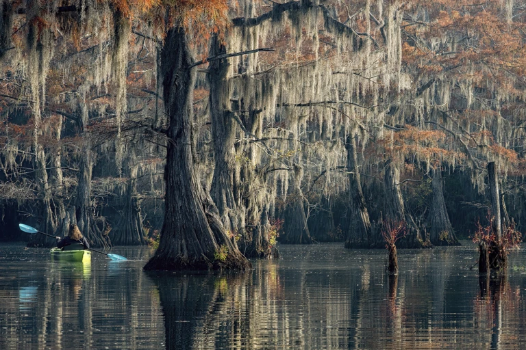 Kayaking the swamps