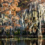 Lake Caddo Visitor centre