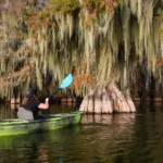Exploring the swamps