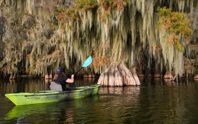 Exploring the swamps