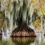 Benton Lake