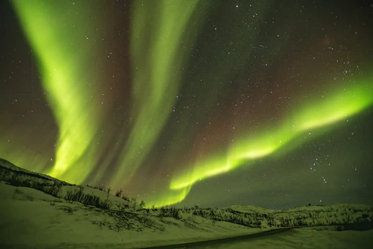 North Finland V
