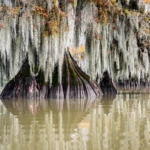 Atchafalaya Lake