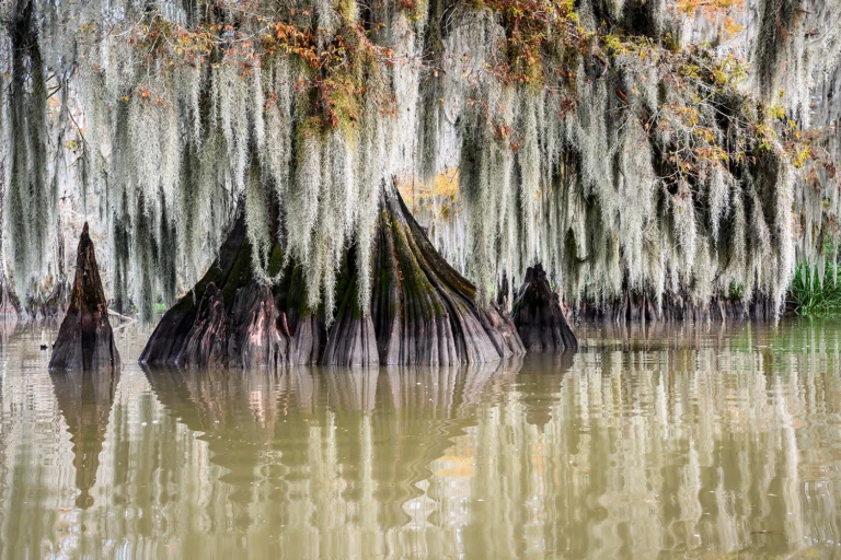 Atchafalaya Lake