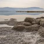Salt