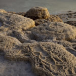 Salt Formation