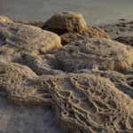 Salt Formation
