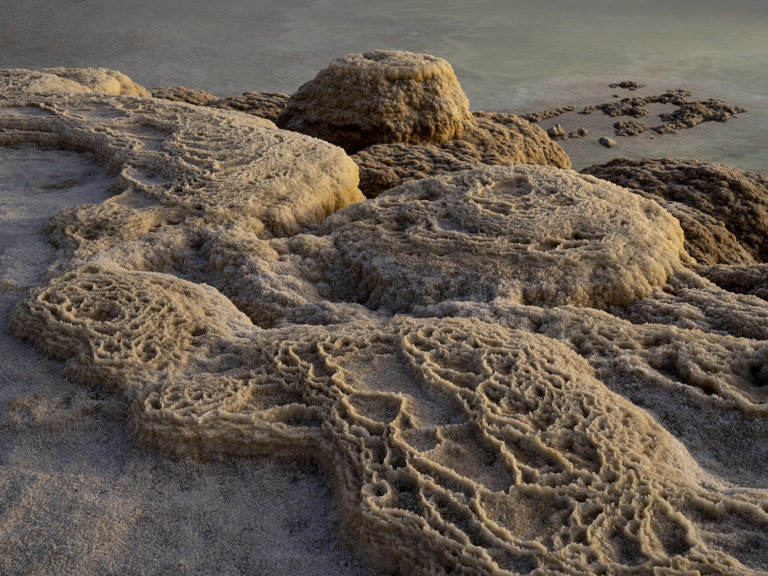 Salt Formation