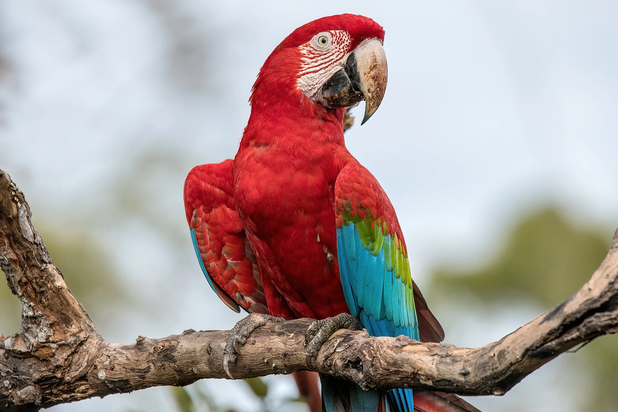 Buraco das Araras, Brazil – photo by Reiner Boehme