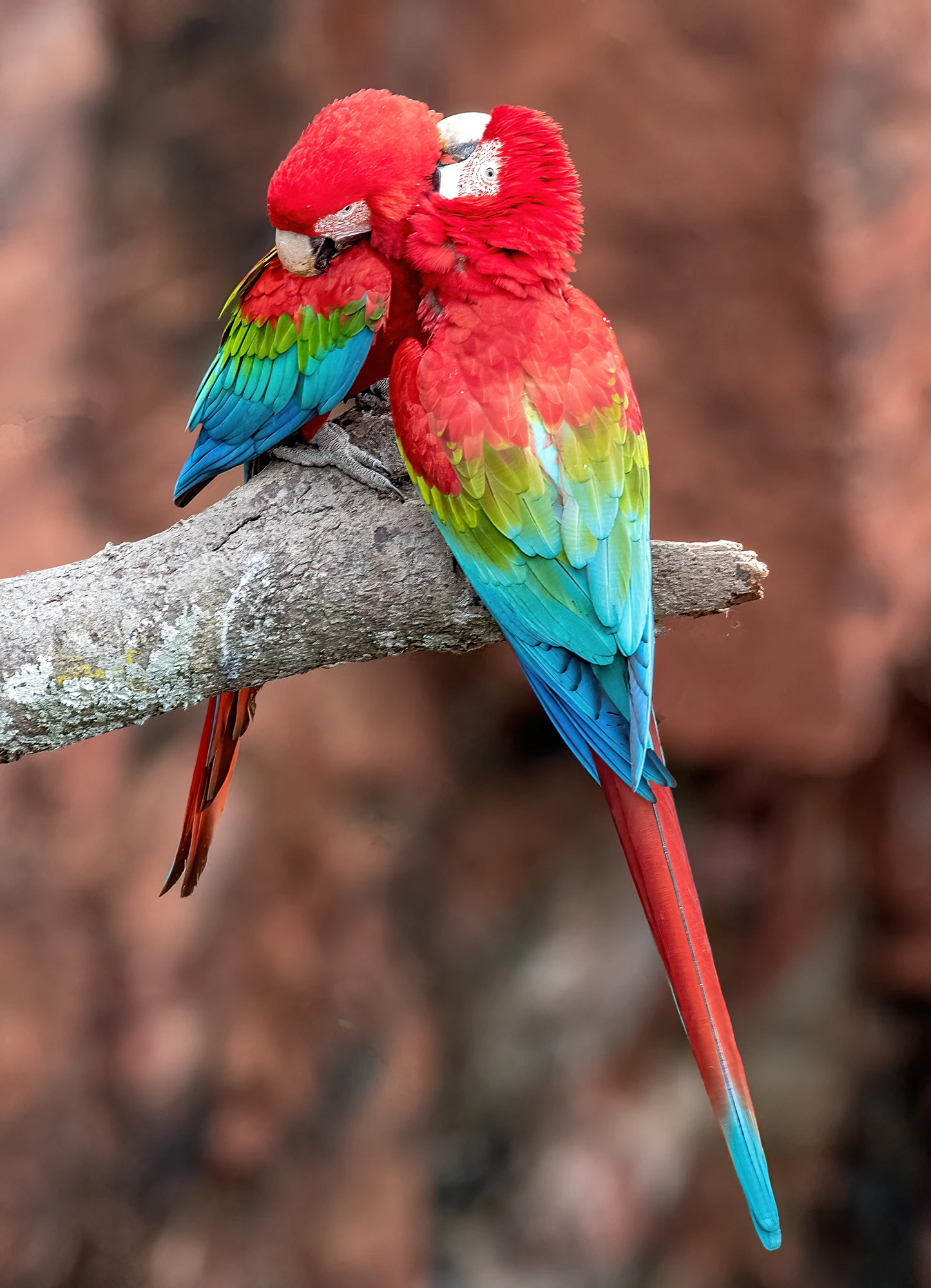 Love, Brazil – photo by Reiner Boehme