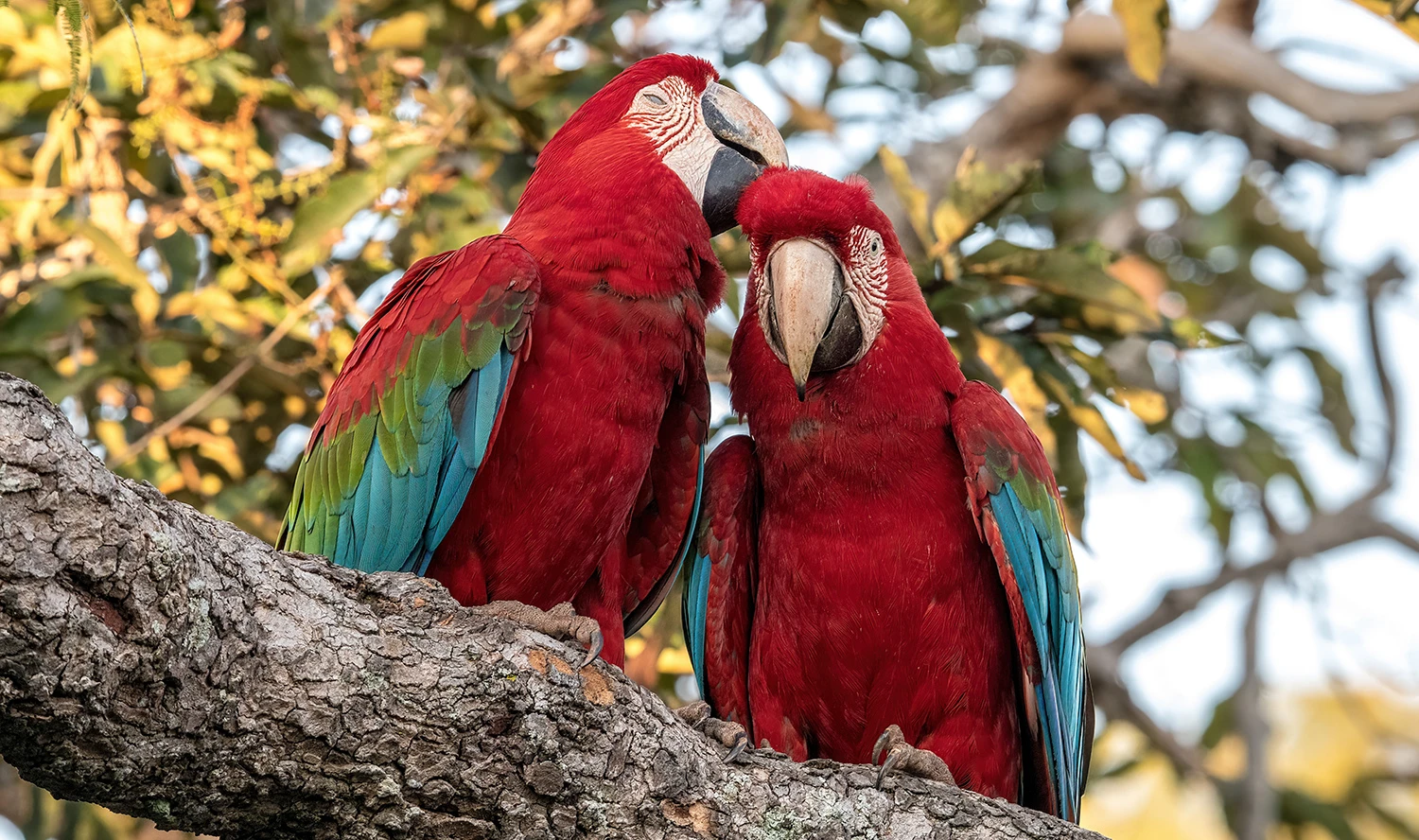 Buraco das Araras, Brazil – photo by Reiner Boehme