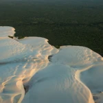 The border between the sand dunes and the forest