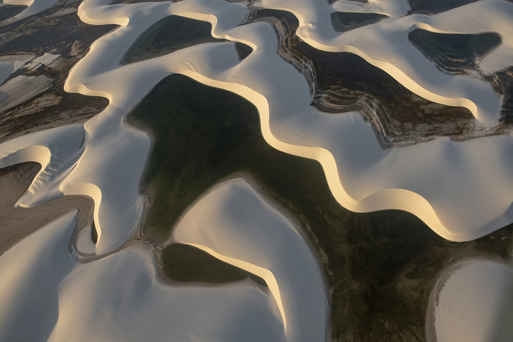 Early morning, Brazil – photo by Reiner Boehme