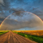 Rainbow II