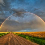 Rainbow II