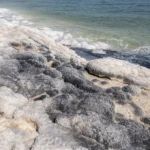 Crude oil from deep underneath