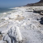 Salt