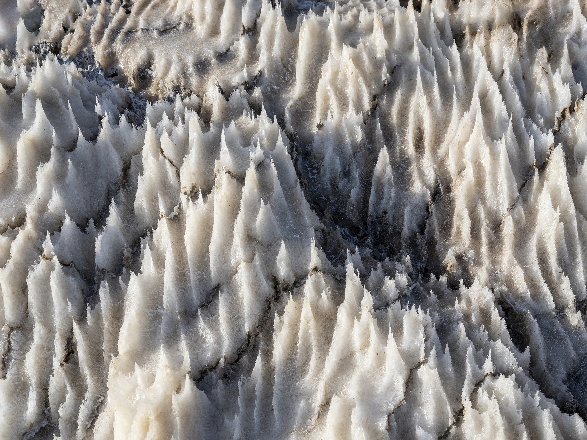 Salt spikes, Israel/Jordan – photo by Reiner Boehme