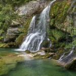 Kozjak