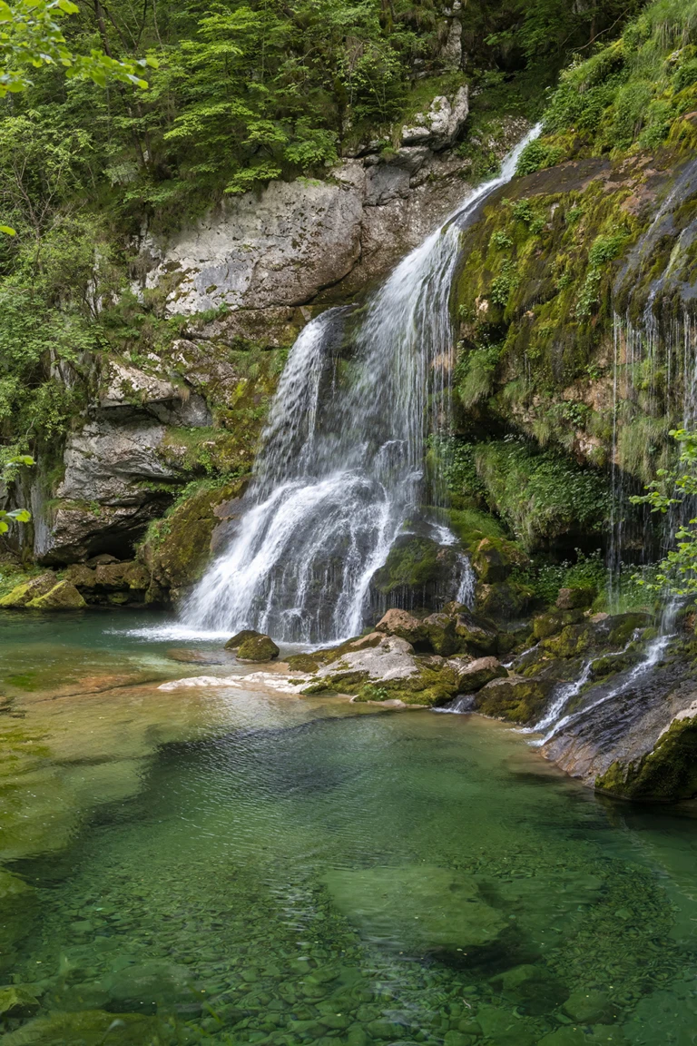 Kozjak