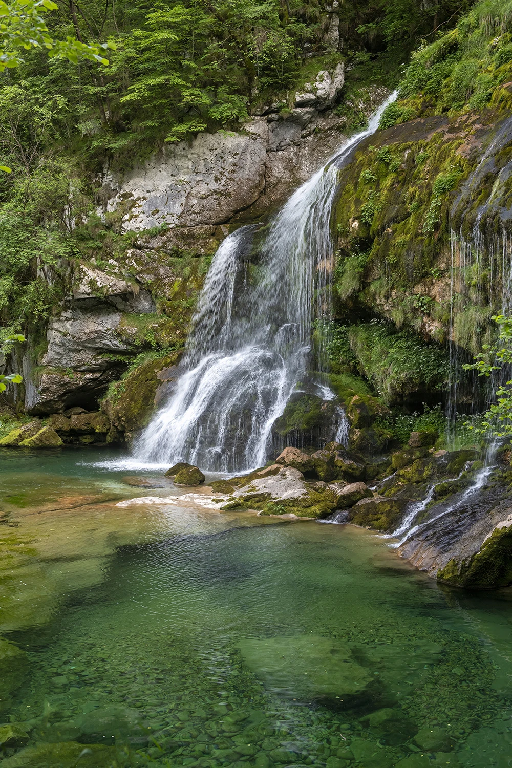 Kozjak, Slovenia – photo by Reiner Boehme